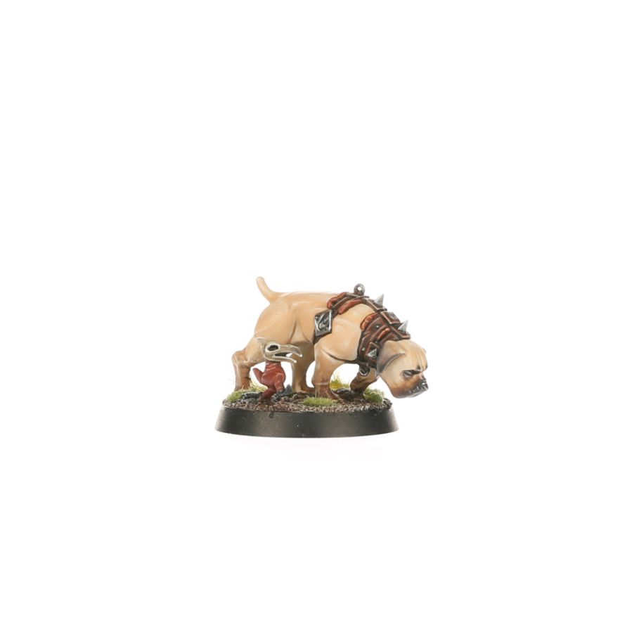 Regiment of Renown: Ven Denst's Hounds WARHAMMER AOS 86-47