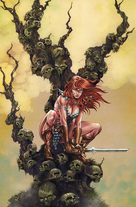 RED SONJA SHE DEVIL WITH A SWORD #5 CVR I INC1:10 MIKE ROOTH VIRGIN VAR FOC August 10, 2026