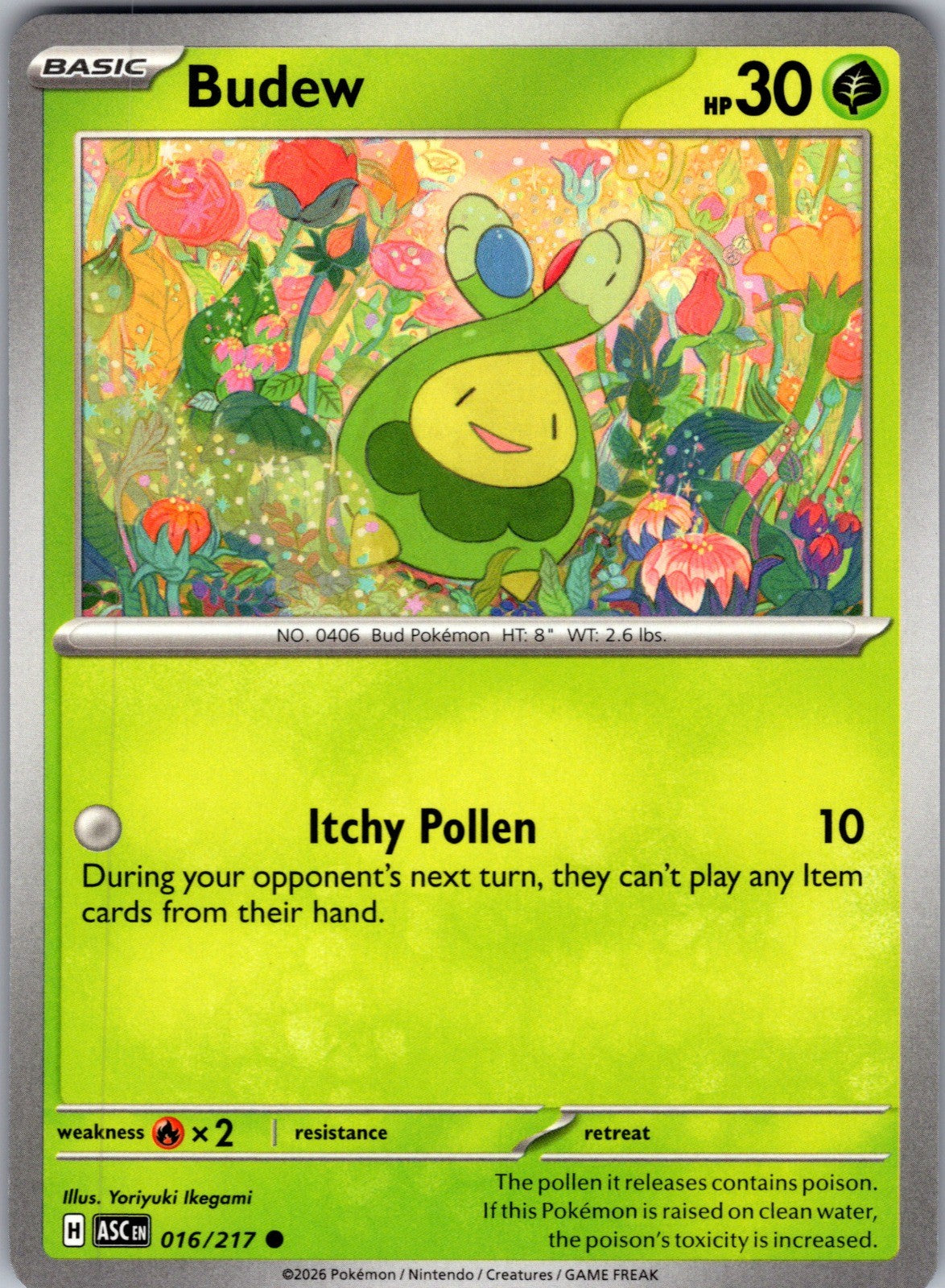 Budew Common ME: Ascended Heroes 016/217 LP