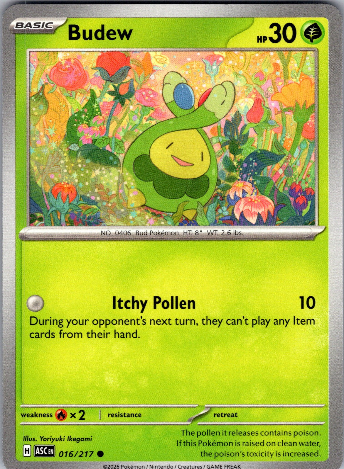 Budew Common ME: Ascended Heroes 016/217 LP