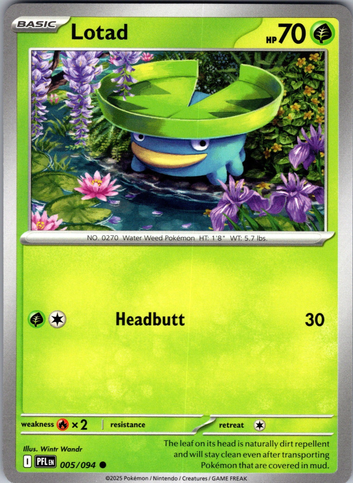 Lotad Common ME02: Phantasmal Flames 005/094 LP