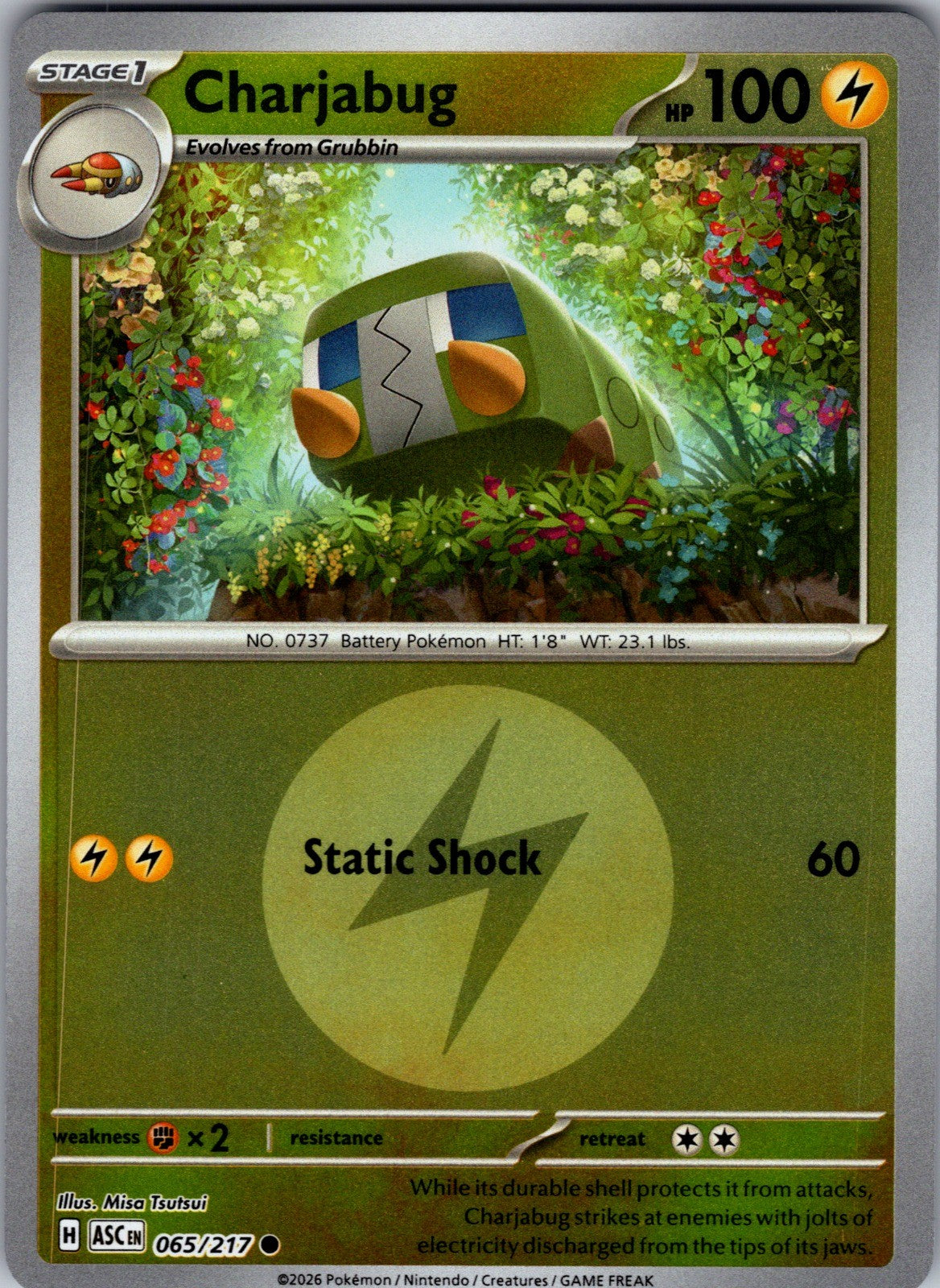 Charjabug (Energy Symbol Pattern) Reverse Holo Common ME: Ascended Heroes 065/21
