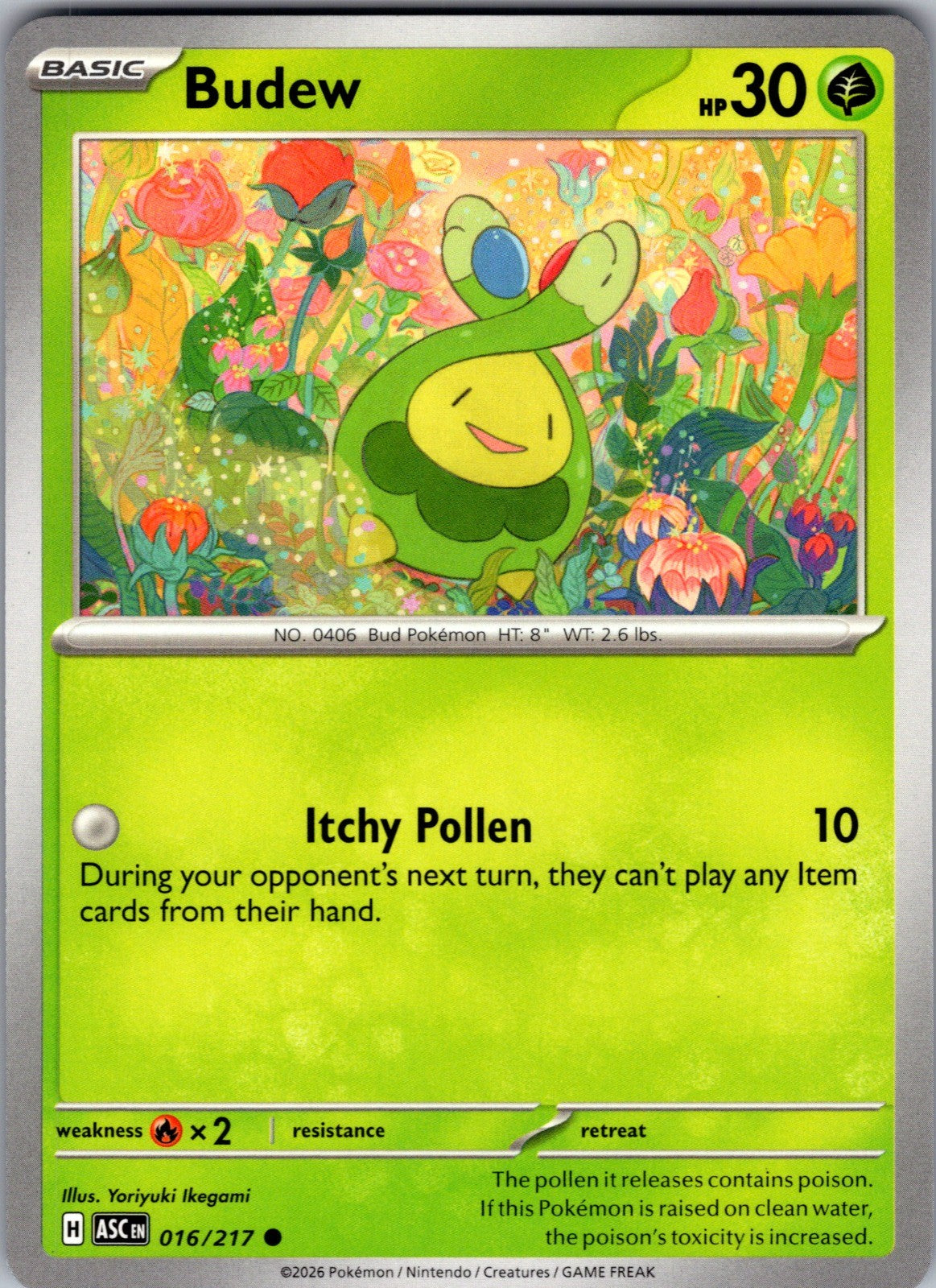 Budew Common ME: Ascended Heroes 016/217 LP
