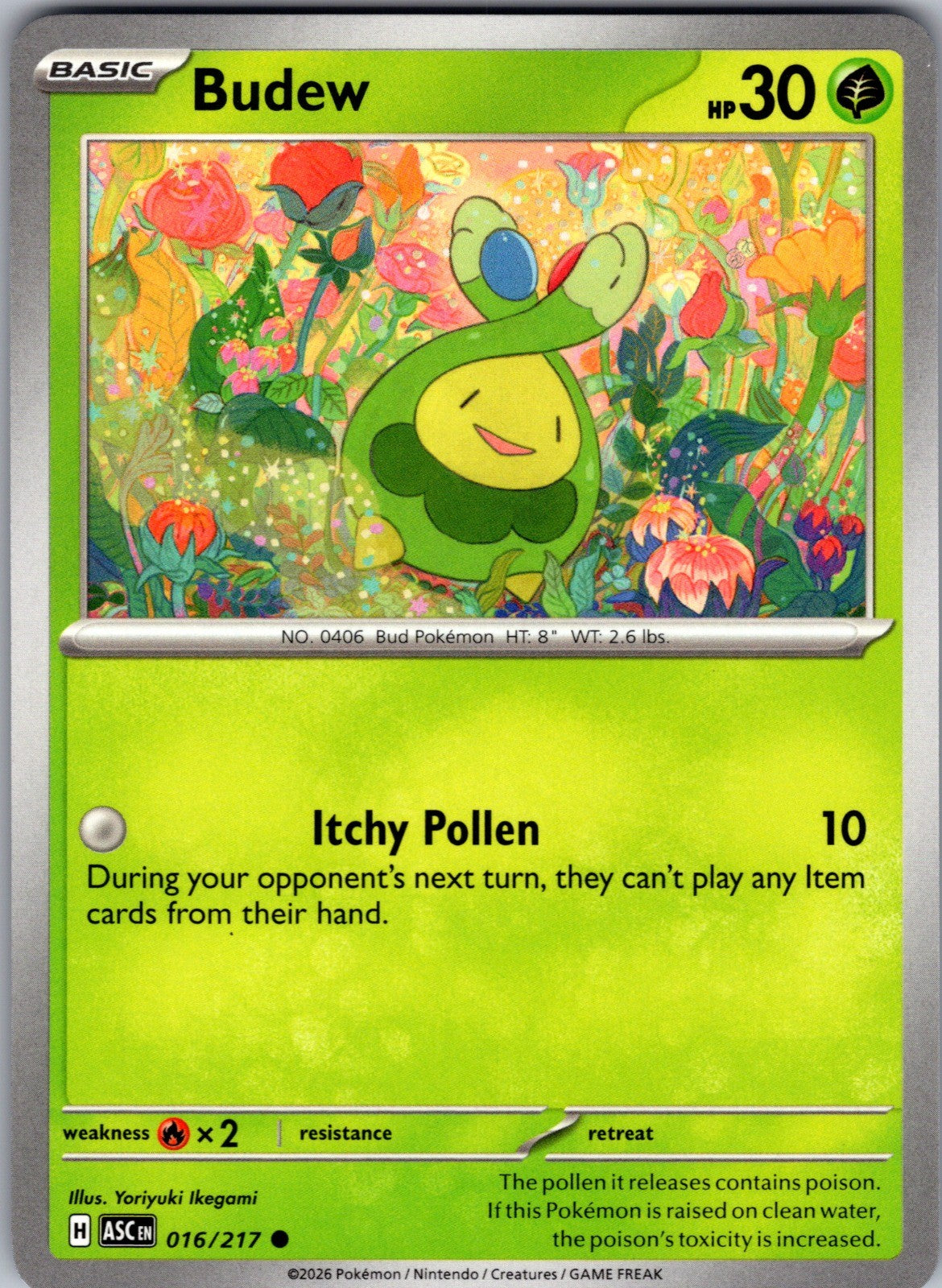 Budew Common ME: Ascended Heroes 016/217 LP