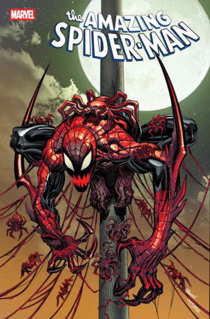 THE AMAZING SPIDER-MAN AMAZING SPIDER-MAN #27 [DS]
