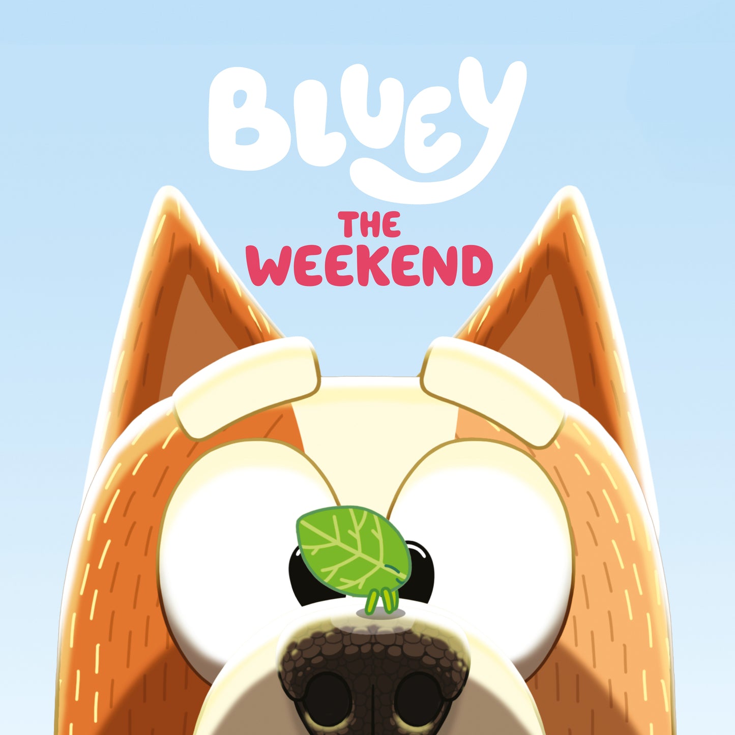 Bluey: The Weekend FOC August 10, 2026